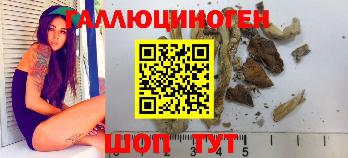 Сыктывкар  Галлюциногенные грибы Psilocybine cubensis  Вход с VPN  Галлюциногенные грибы MAGIC MUSHROOMS 